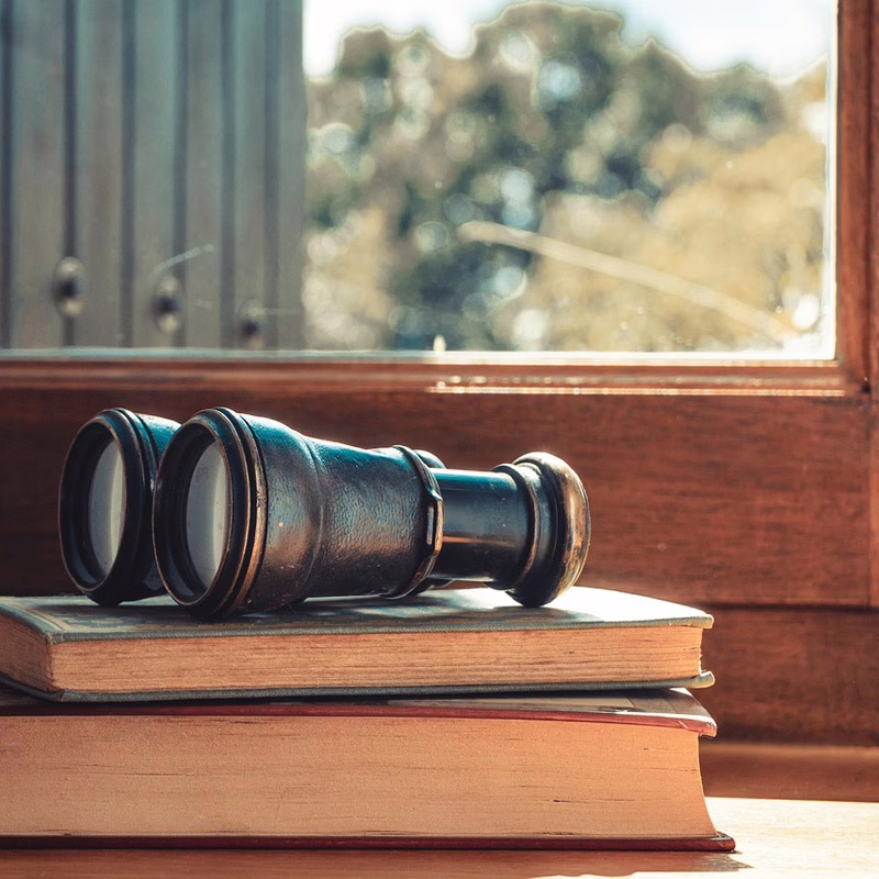 Rarezas y Antiguedades 2